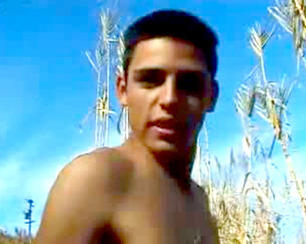 dvd homo